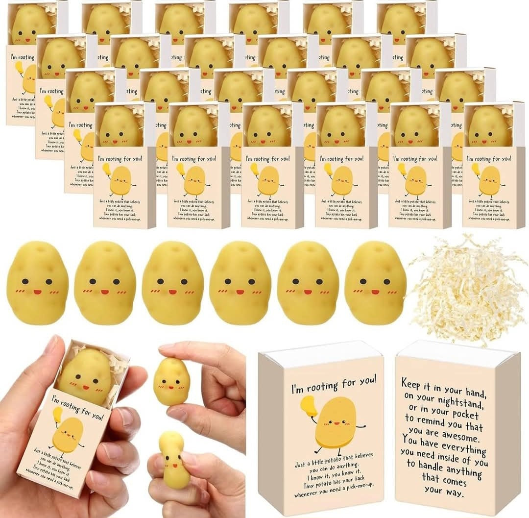 Potato Gift Set Squishy