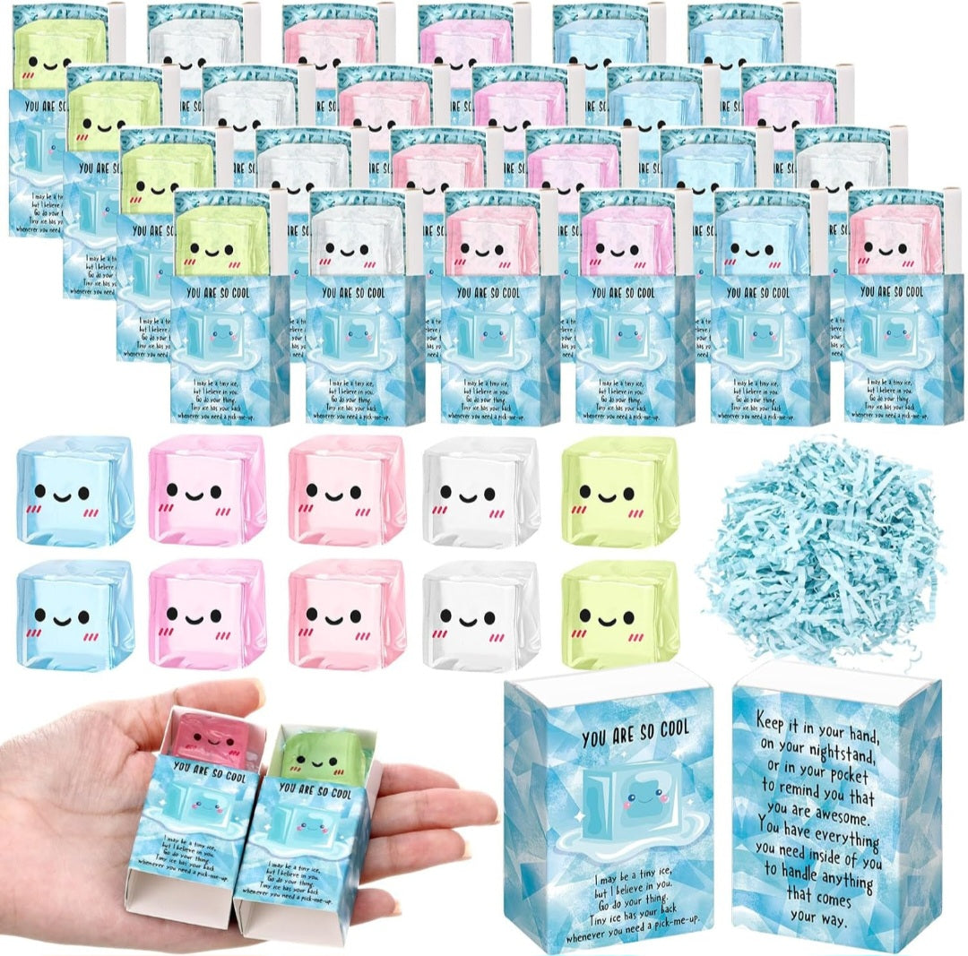 Mystery Ice Cube Gift Set Squishy