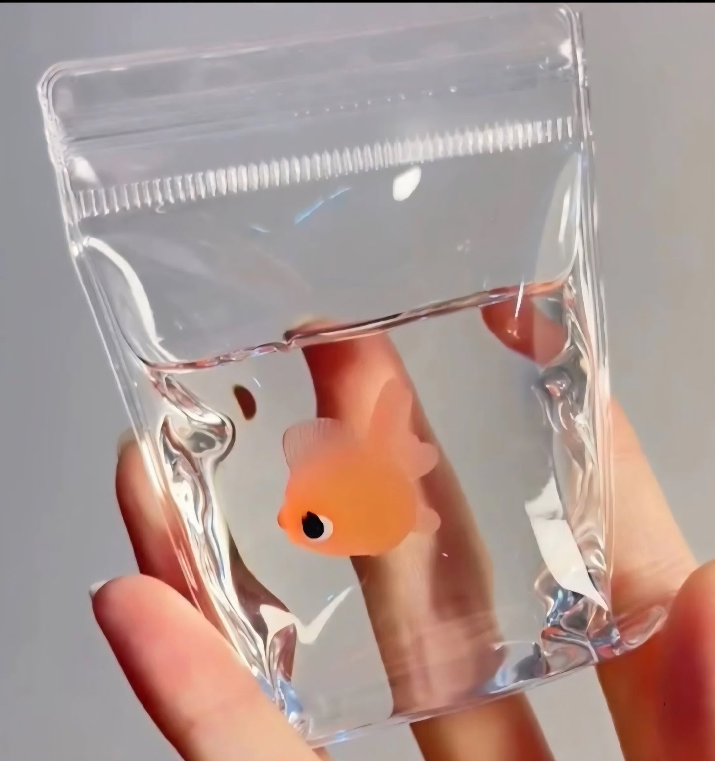 PREORDER Viral Little Fishy Taba Squishy