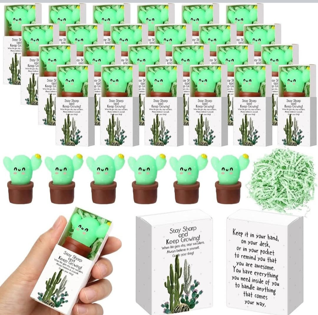Cactus Gift Set Squishy