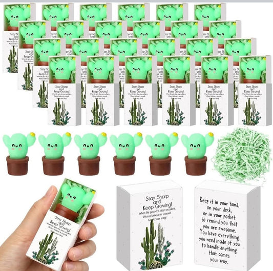 Cactus Gift Set Squishy