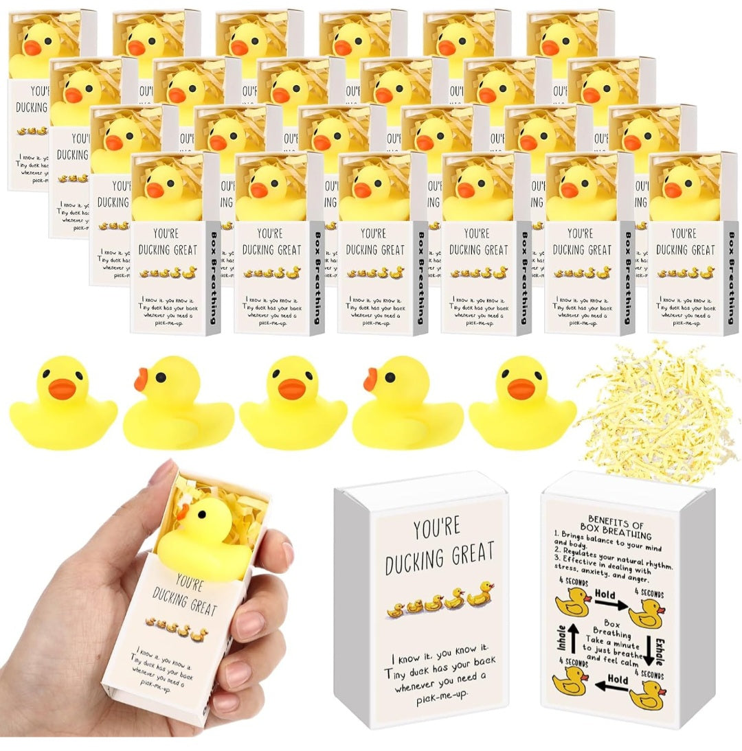 Duck Gift Set Squishy