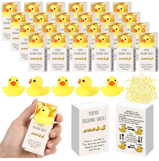 Duck Gift Set Squishy