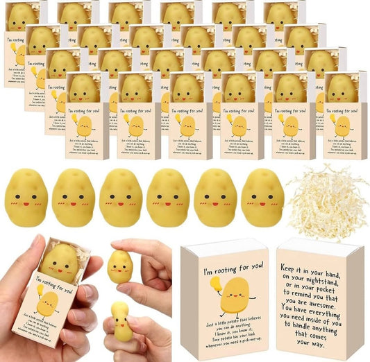 Potato Gift Set Squishy